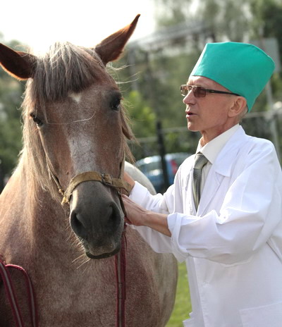 Встань и иди!