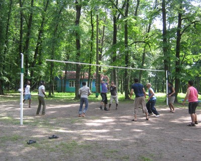 Выбираем «Альтернативу»