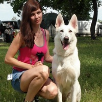 Четвероногие герои