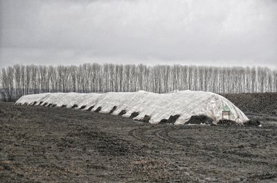 Сахарный рекорд