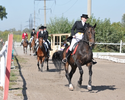 Сила и грация