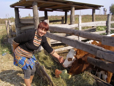 Деньги - в село, продукты - в город