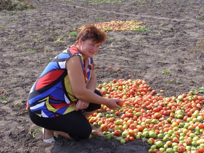 Деньги - в село, продукты - в город