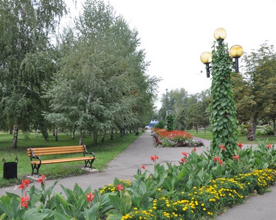 Красивые фонари оплетены вьющимися растениями Парк нашего периода