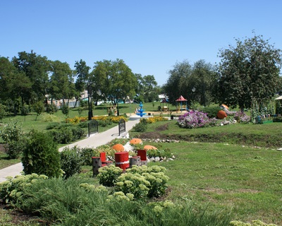 Урожай, дети и здоровье