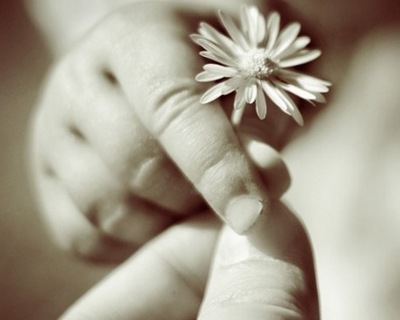 Жить и воспитываться в семье