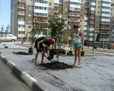 Очень скоро этот двор станет зелёным островком отдыха Двор белгородского стандарта