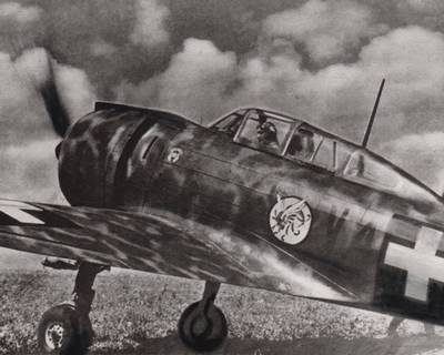 На таком самолёте разбился Иштван Хорти Находки в Калиновом яру