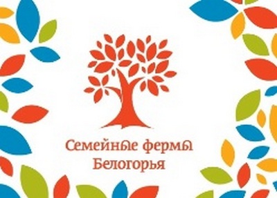 Выбрали второй вариант