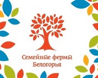 Выбрали второй вариант