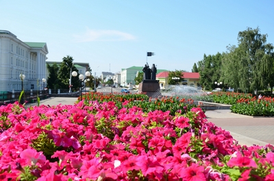 Труженики зелёного царства