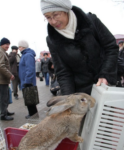 Прибыльный бизнес