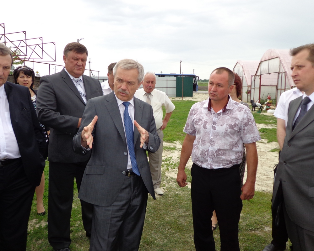 Борисовский сайт белгородская. Бабенко Борисовка. Село Стригуны Белгородской области.