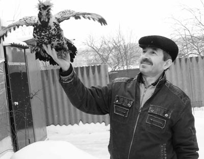 Куриная экзотика