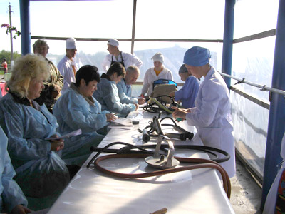 Туда ли уводят мечты?