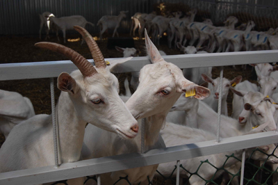 Требуются энтузиасты