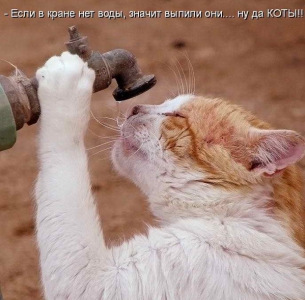 Страсти по воде