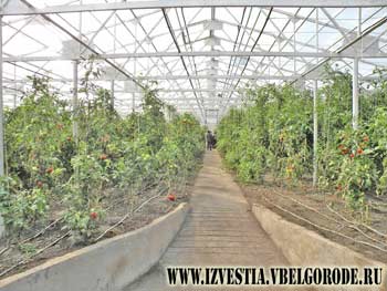 Новый формат семейного бизнеса