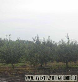 А что вы сделаете завтра?