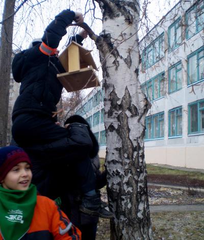 Покормим пернатых