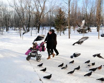 Заря застыла на снегу...