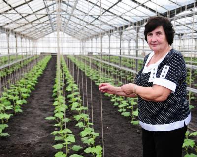 Зоя Николаевна Шинкарёва выращивает в теплице овощи и рассаду теплолюбивых цветов  Агроном-цветовод